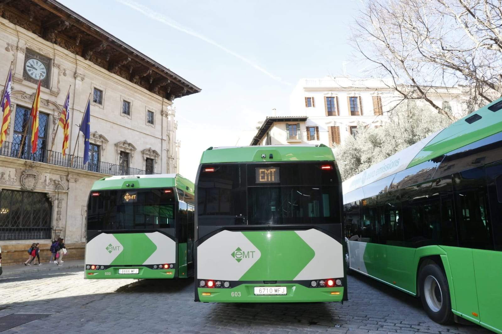 La Palma Buses